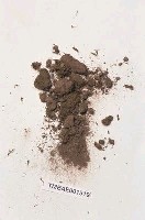 藏品(澤苔屬)的圖片